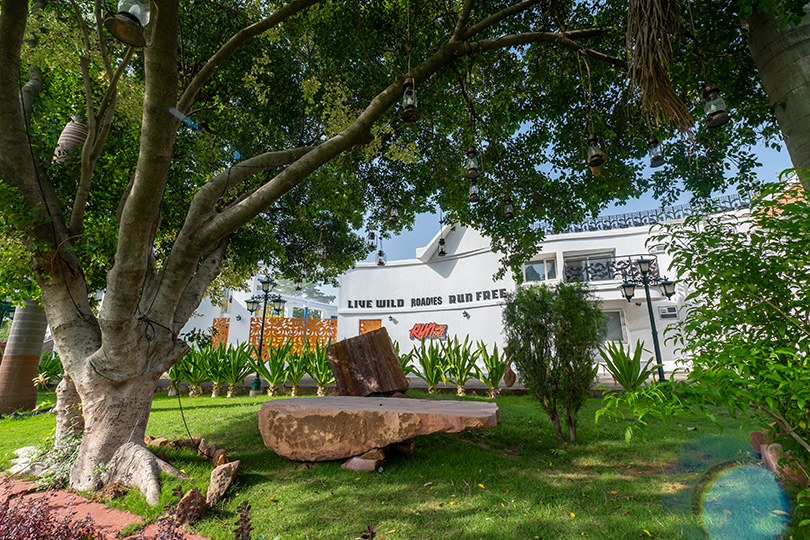Roadies Rostel garden seating area under large tree with hanging lanterns and resort wall in background