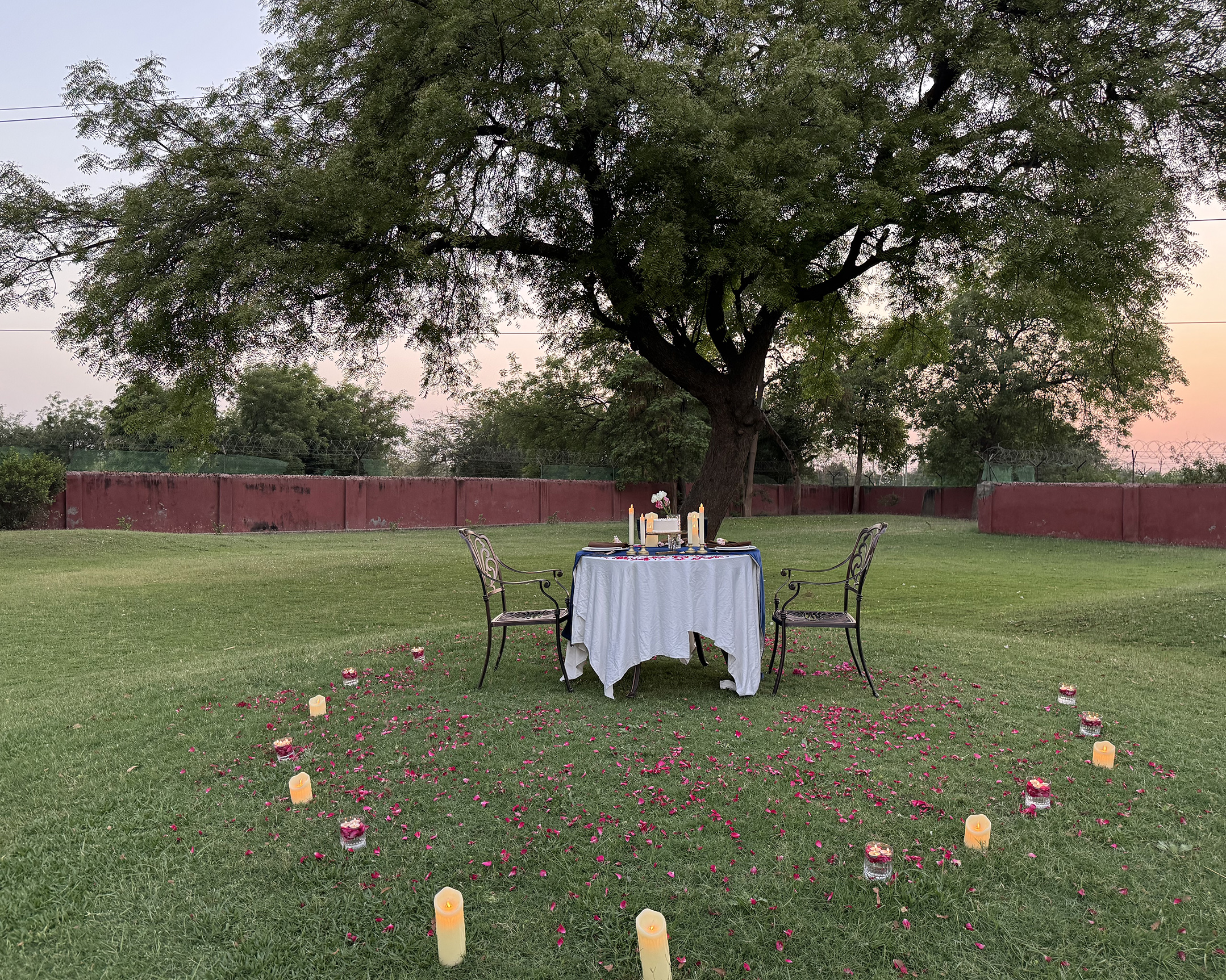 Romantic private dinner setup under a tree with candles and rose petals on the lawn at sunset