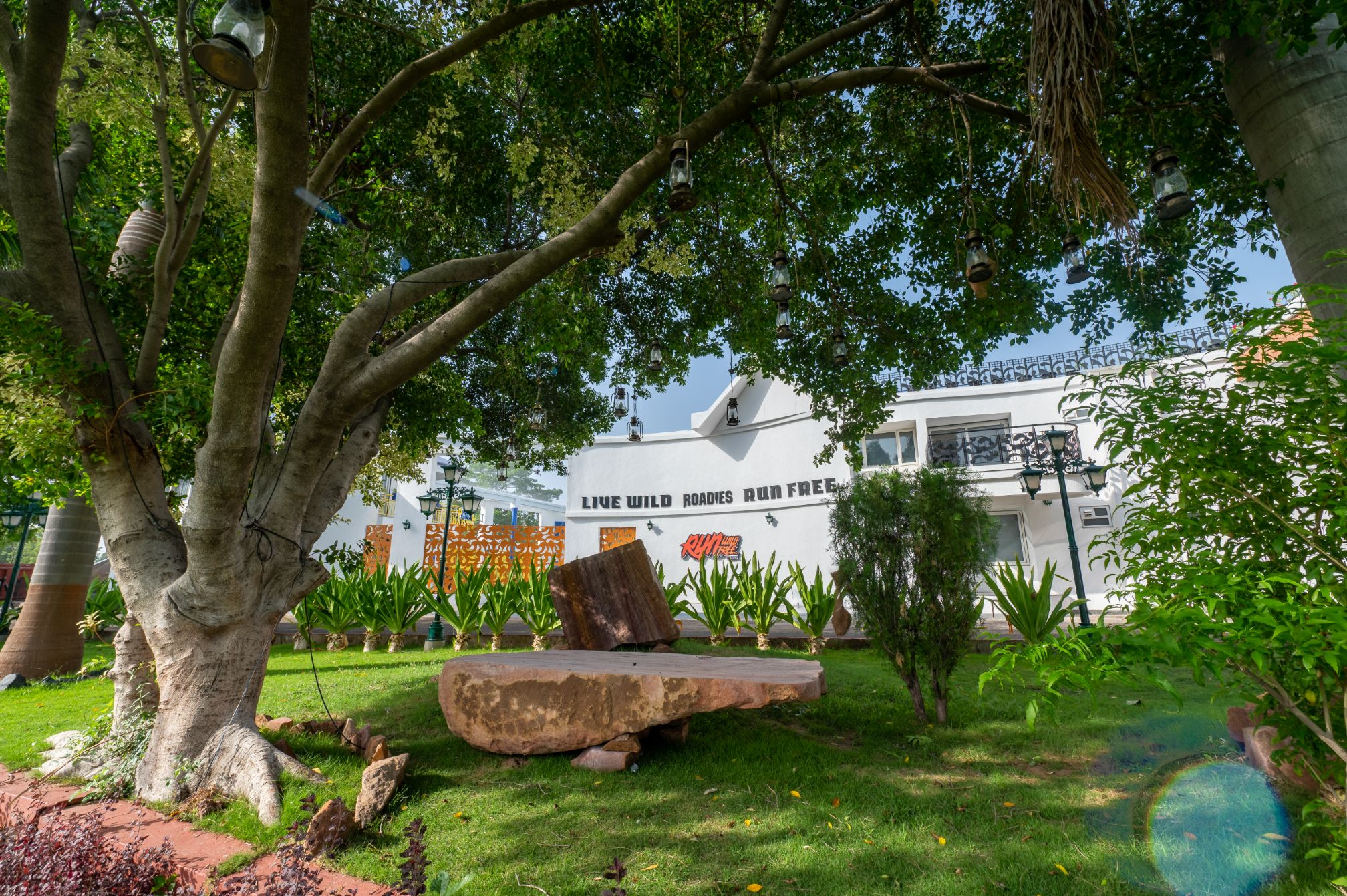 Peaceful romantic celebration spot under a large tree at Roadies Rostel, perfect for outdoor gatherings