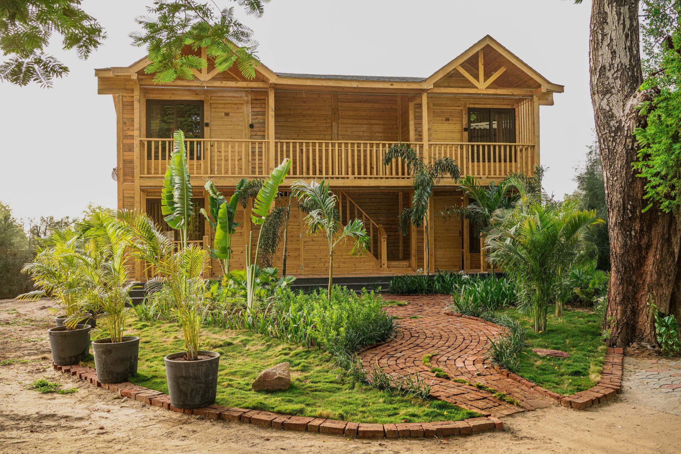 Wooden cottage exterior at Roadies Rostel ARC Resort surrounded by lush greenery – best wooden stay near Ahmedabad
